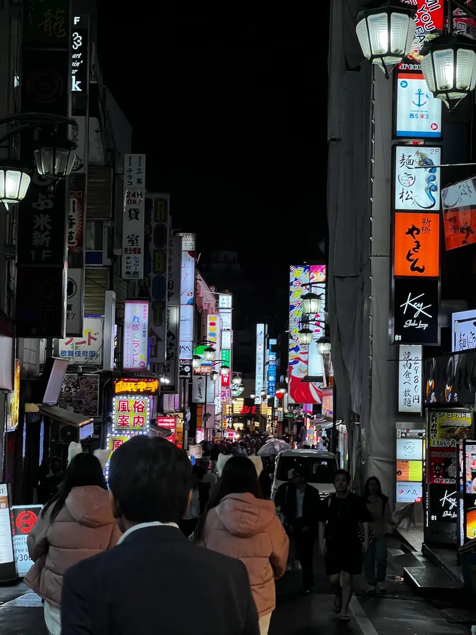 Shinjuku Night Skyline