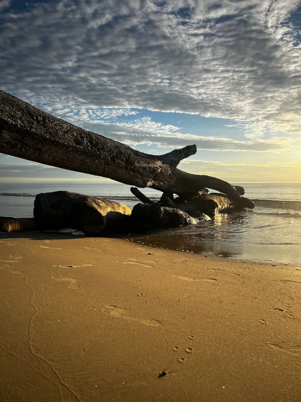 tangalooma